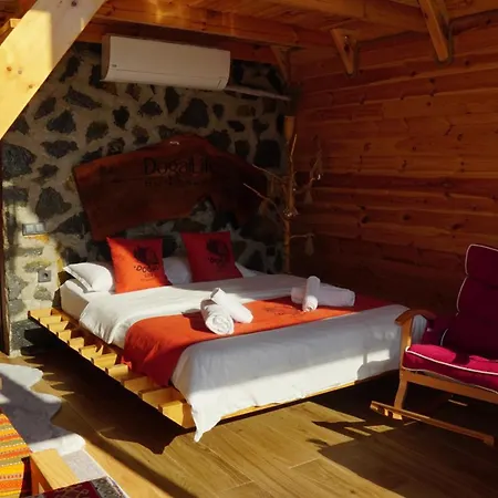 Chalet Dogallife