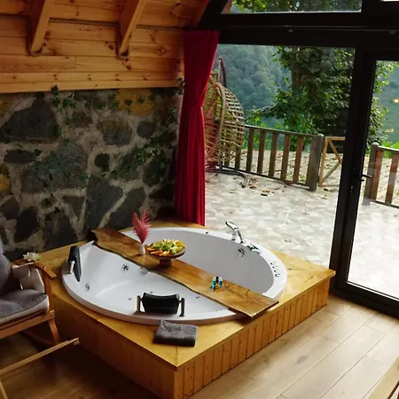 Chalet Dogallife Camlihemsin