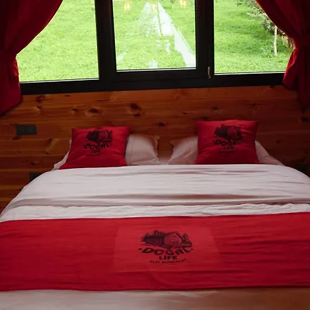 Dogallife Chalet *