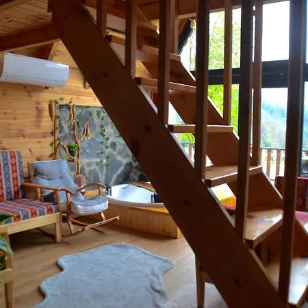 Chalet Dogallife Camlihemsin